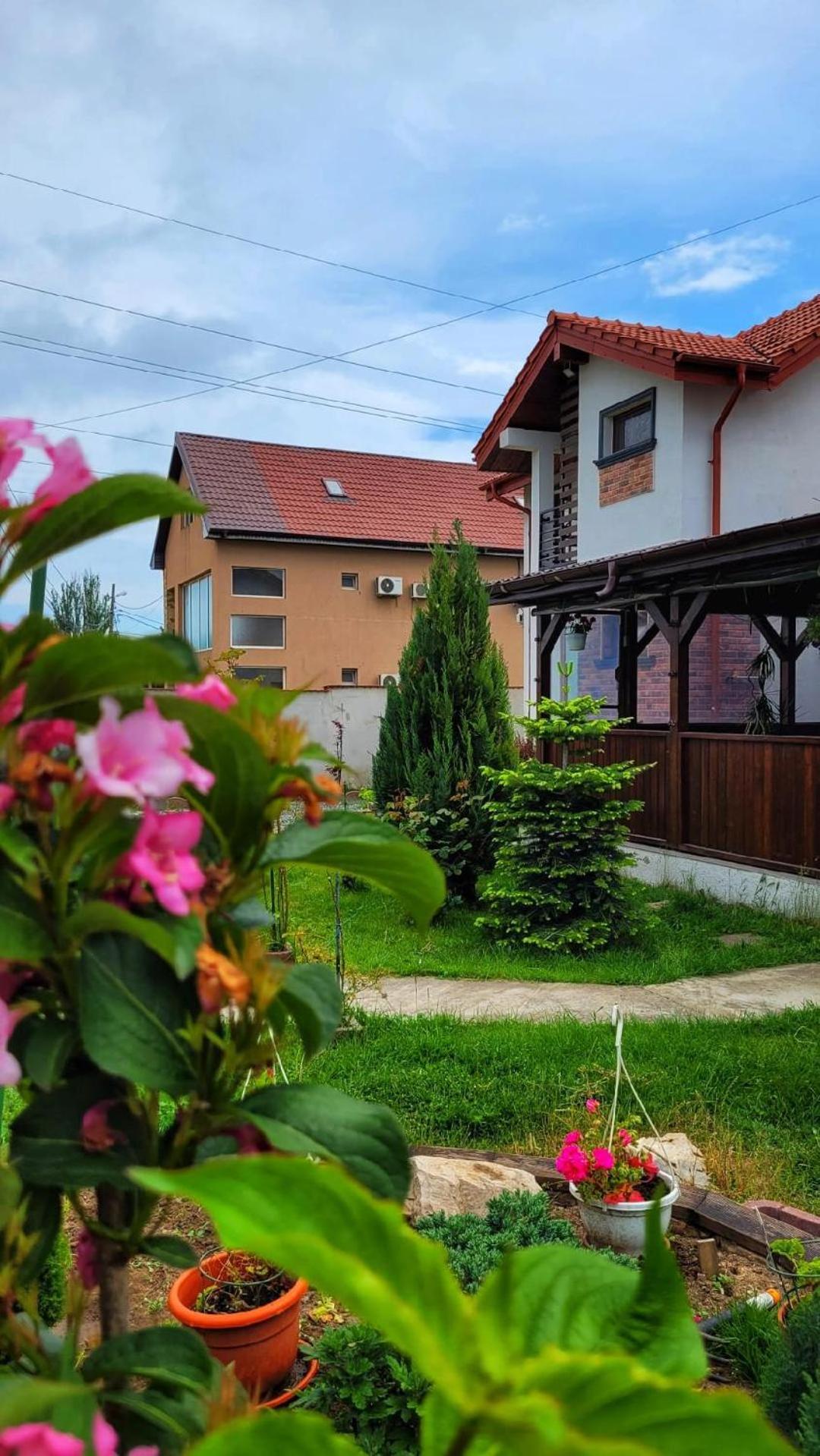 Отель Casa Alba Нэводари Экстерьер фото