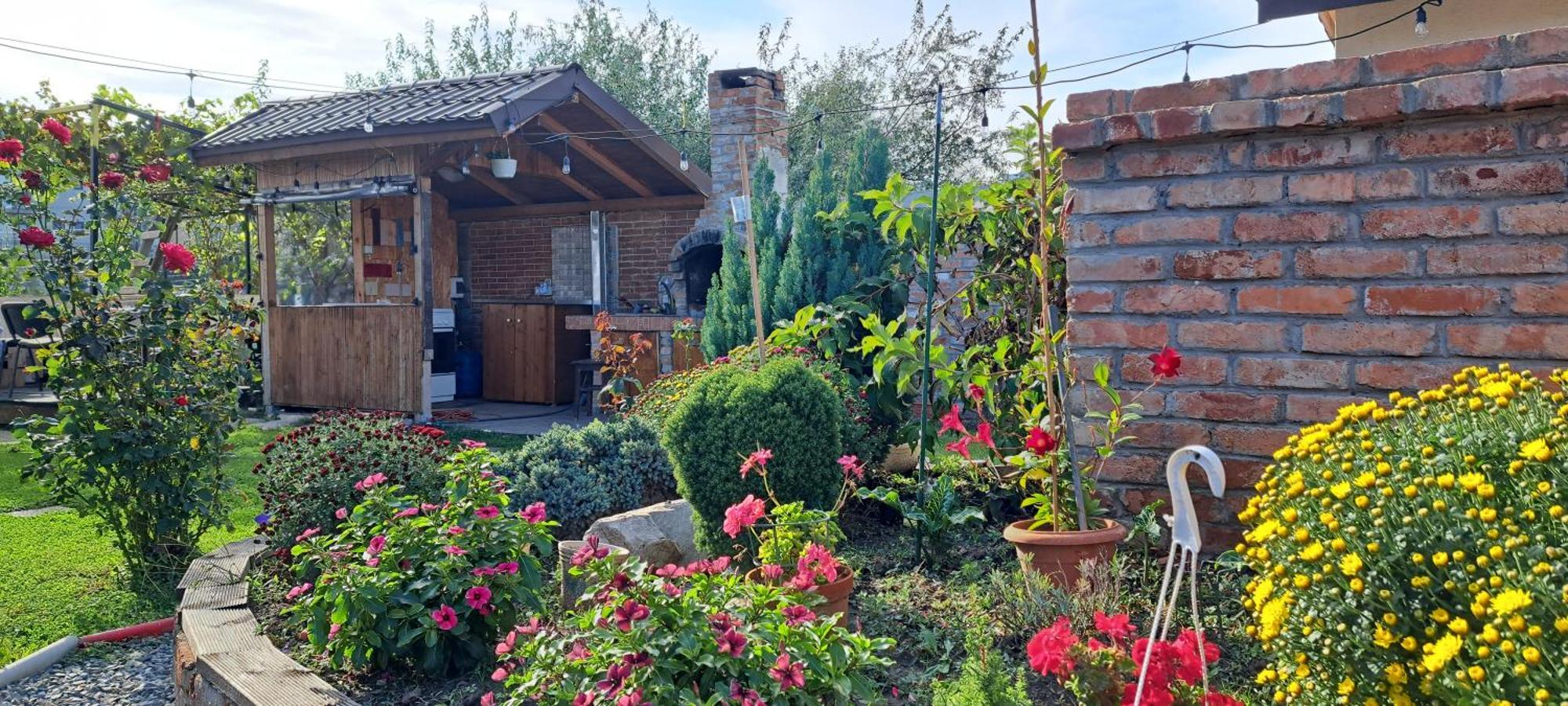 Отель Casa Alba Нэводари Экстерьер фото